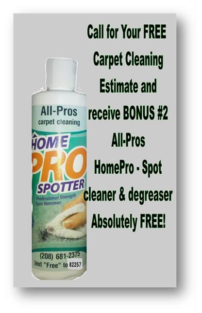 Awesome Bonus #2- HomePro Spot Cleaner-Degreaser